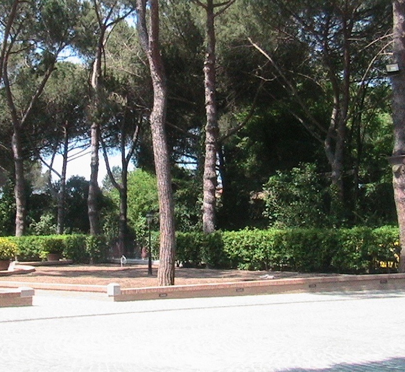 MANUTENZIONE AREE VERDI
