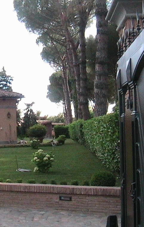 MANUTENZIONE AREE VERDI