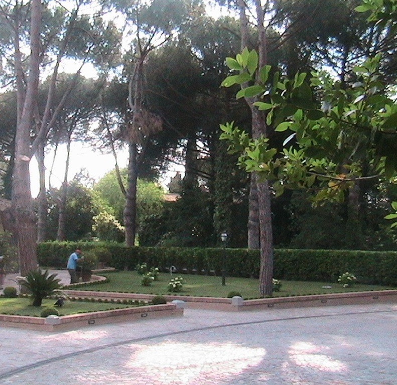 PROGETTAZIONE E MANUTENZIONE AREE VERDI