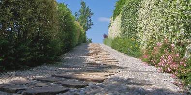 PROGETTAZIONE E MANUTENZIONE AREE VERDI