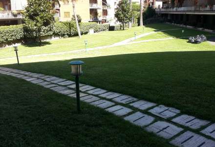 Progettazione e manutenzione aree verdi Roma e Lazio
